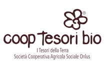 I tesori della terra