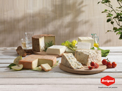 Gorgonzola DOP BIO - Arrigoni