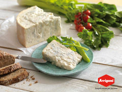 Gorgonzola DOP BIO