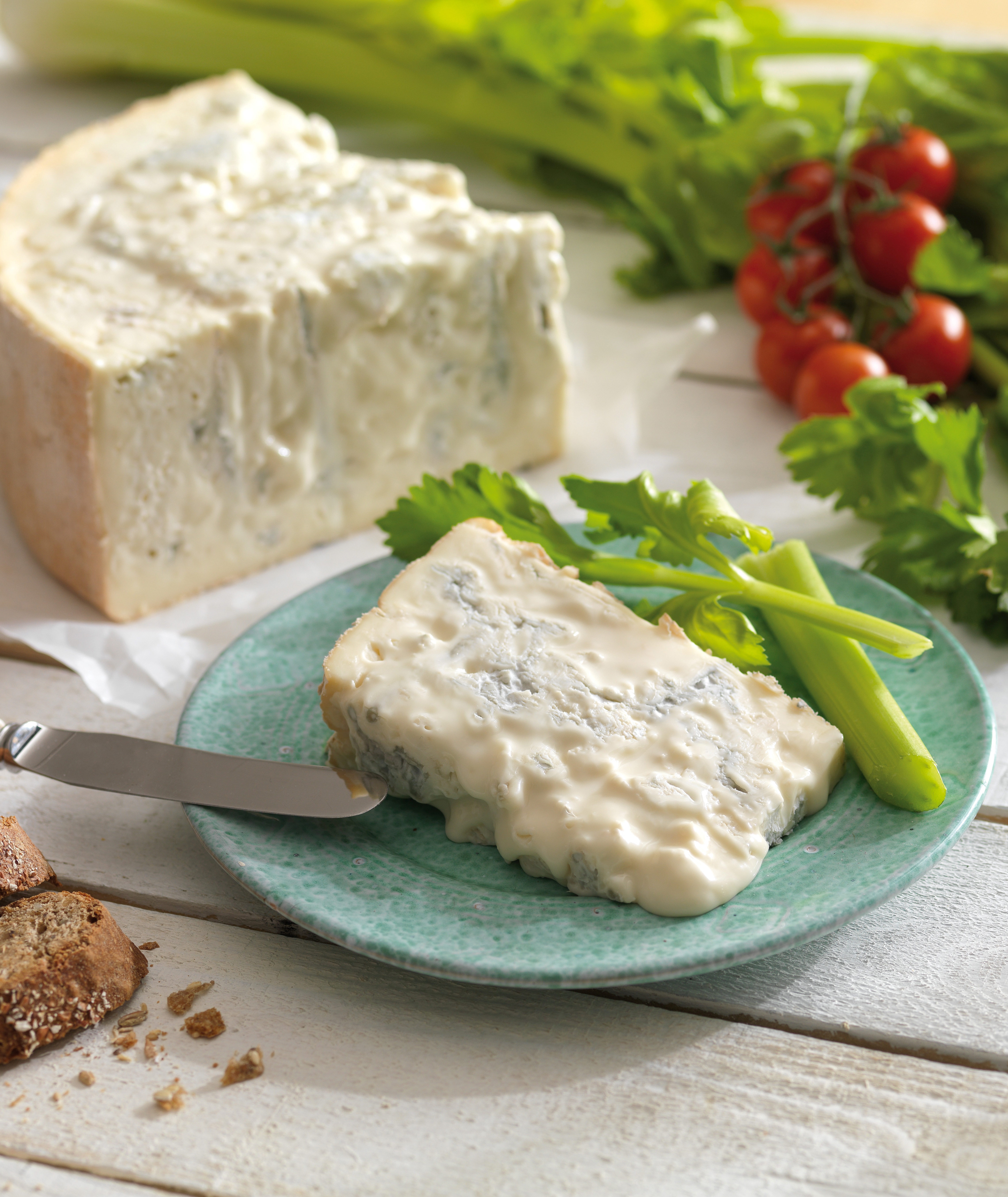Gorgonzola DOP BIO