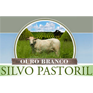 Silvo Pastoril