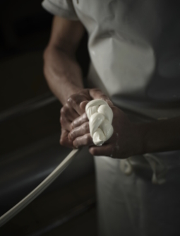 Mozzarella di Gioia del Colle DOP - Capurso