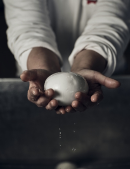 Mozzarella di Gioia del Colle DOP - Gioiella