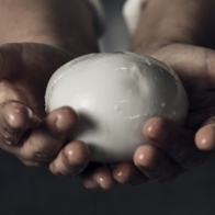 Mozzarella di Gioia del Colle DOP
