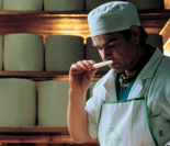 Il formaggio Pecorino Romano DOP (assaggio)