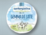 Gemma di latte