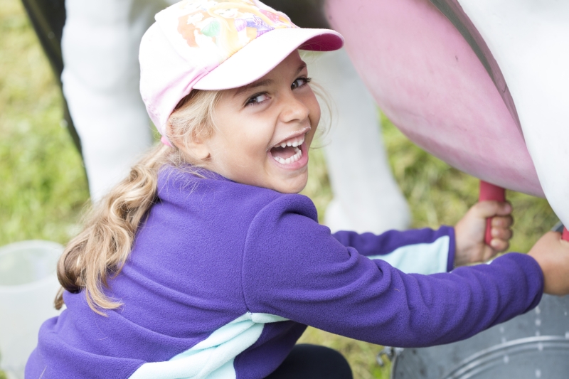 Festa del Latte Alto Adige 2014, gara di mungitura 