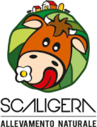 Cooperative Scaligera