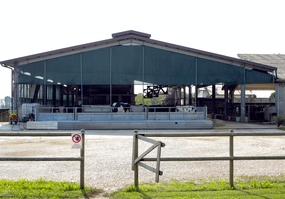 Azienda Agricola Trentin Carlo