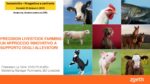Francesco La Torre – Marketing Manager Ruminants BU Livestock, ZOETIS