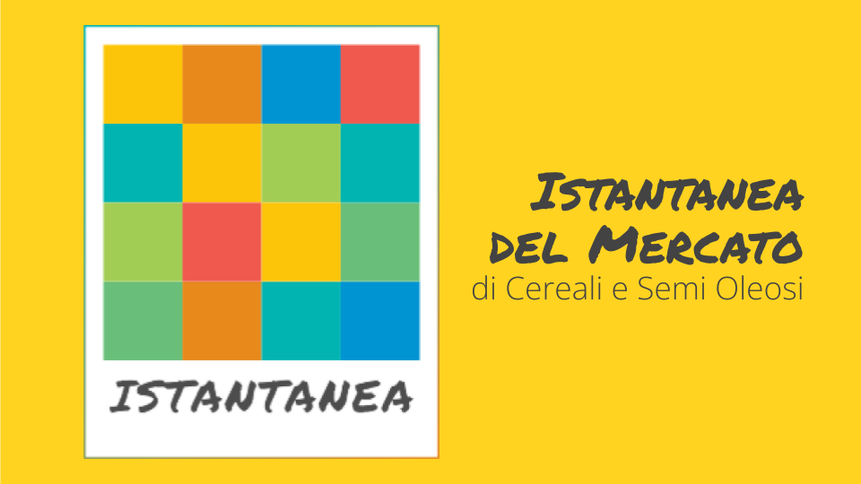 Istantanea del Mercato di Cereali e Semi Oleosi